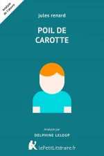 Poil de carotte